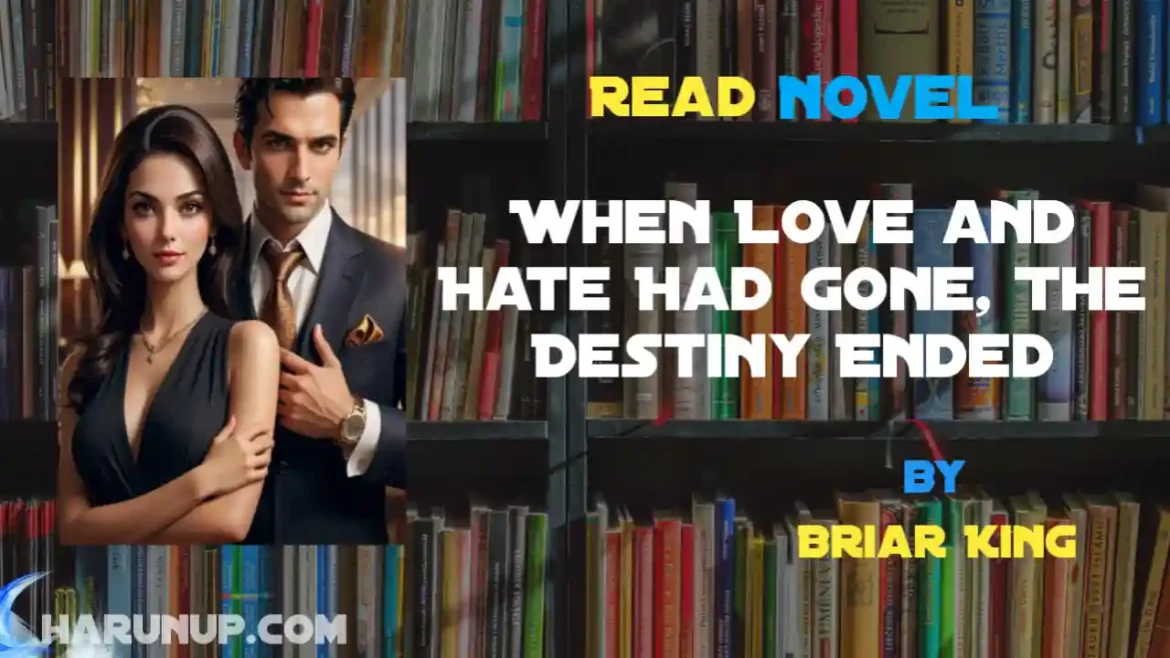 When Love and Hate Had Gone, The Destiny Ended Novel