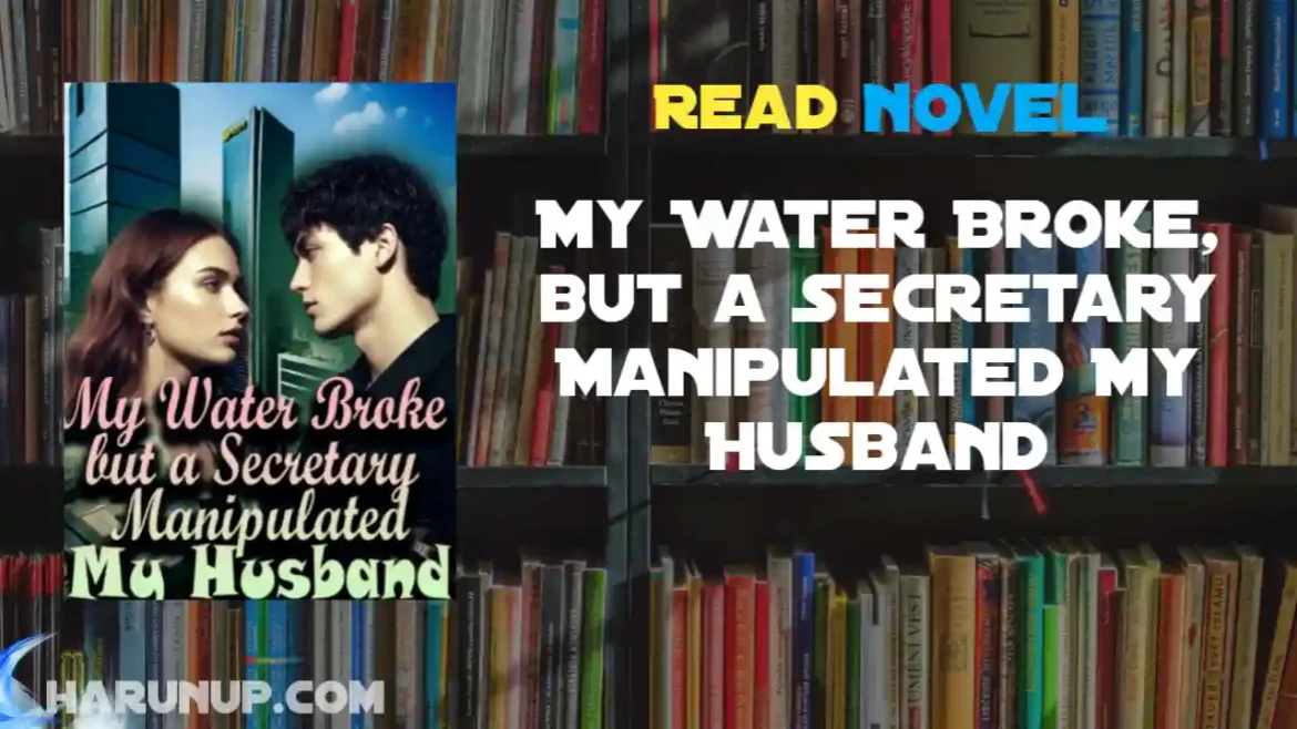 My Water Broke, but a Secretary Manipulated My Husband Novel