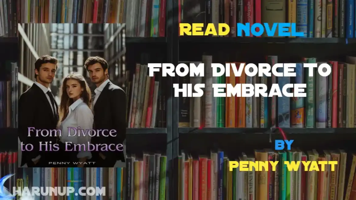 From Divorce To His Embrace Novel