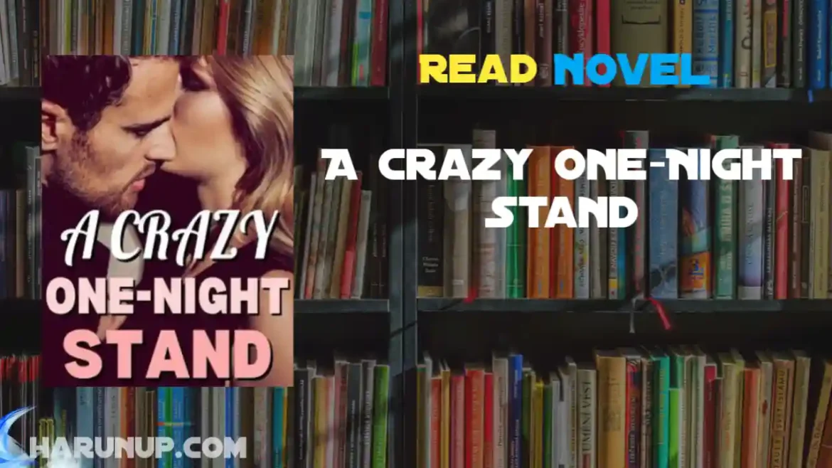 A Crazy One-Night Stand Novel