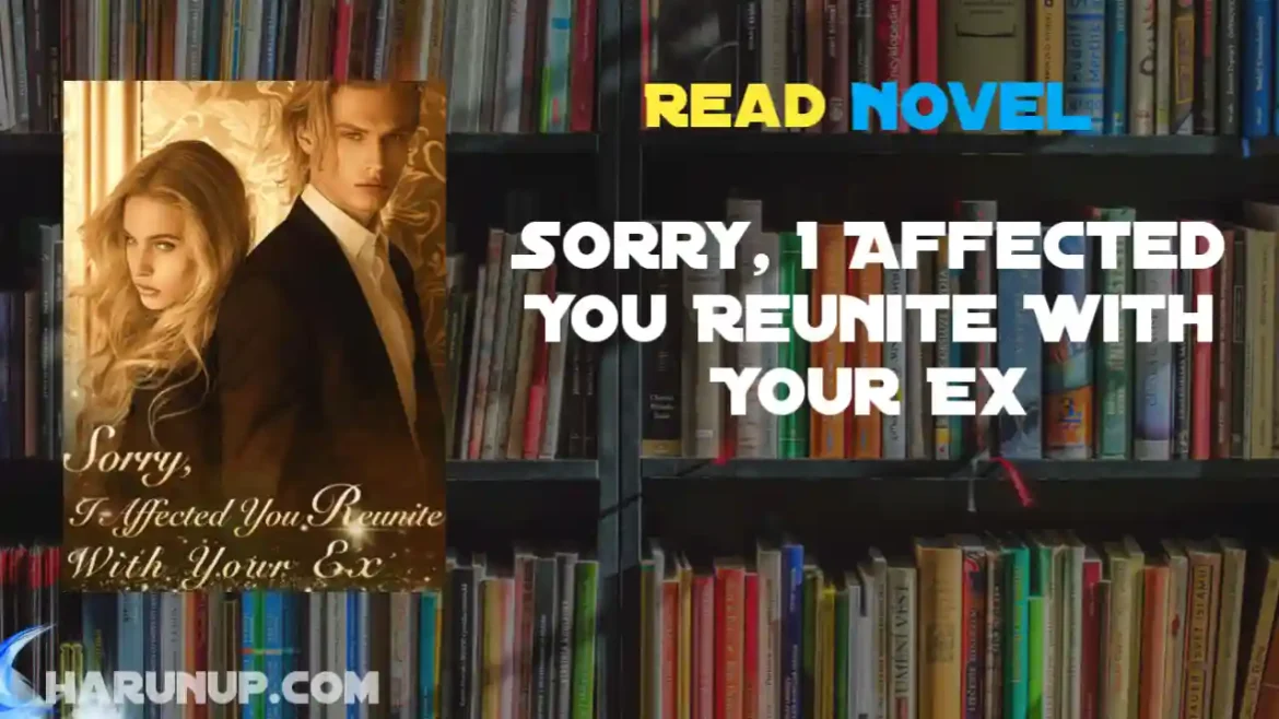 Sorry, I Affected You Reunite With Your Ex Novel