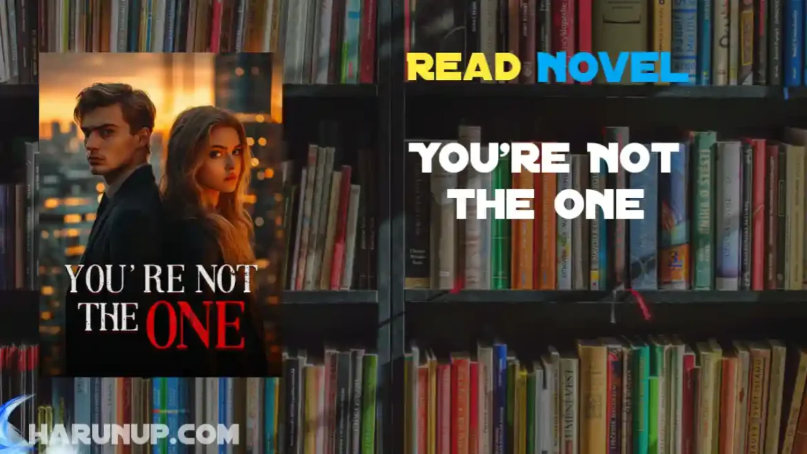 You're Not the One Novel