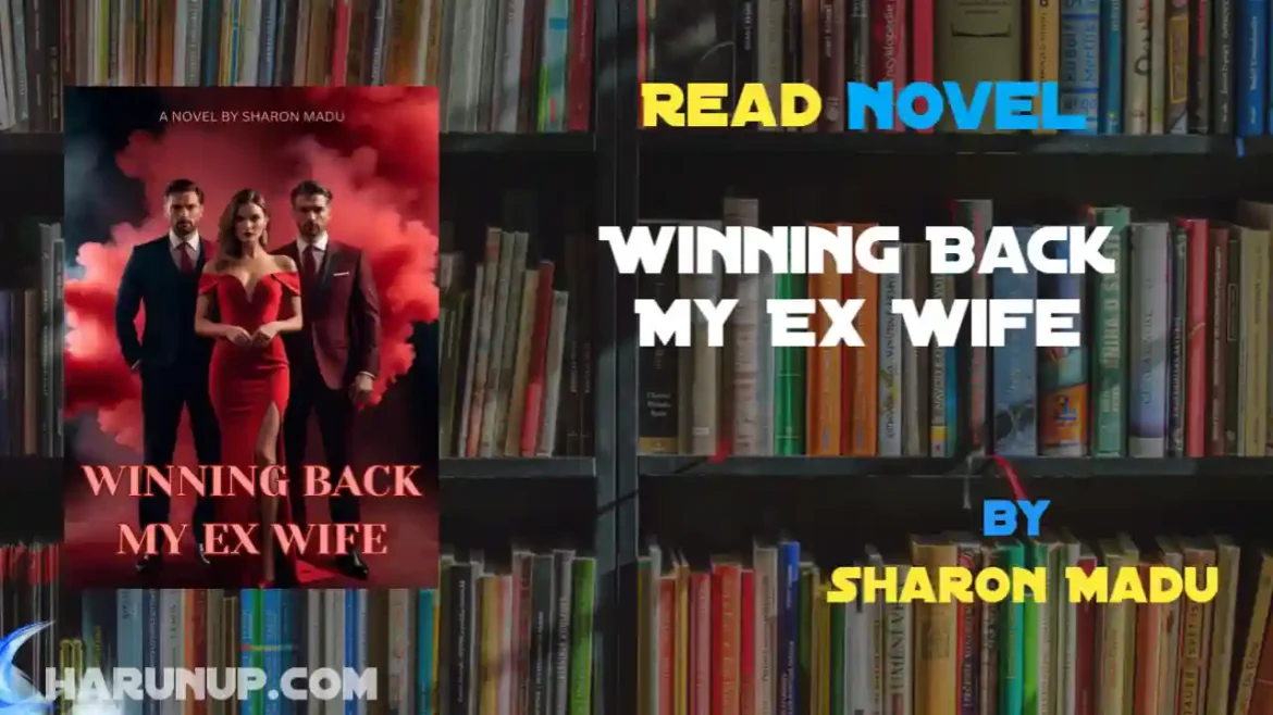 Winning Back My Ex Wife Novel