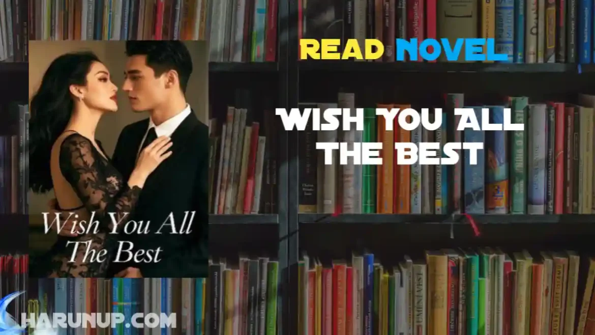 Wish You All The Best Novel