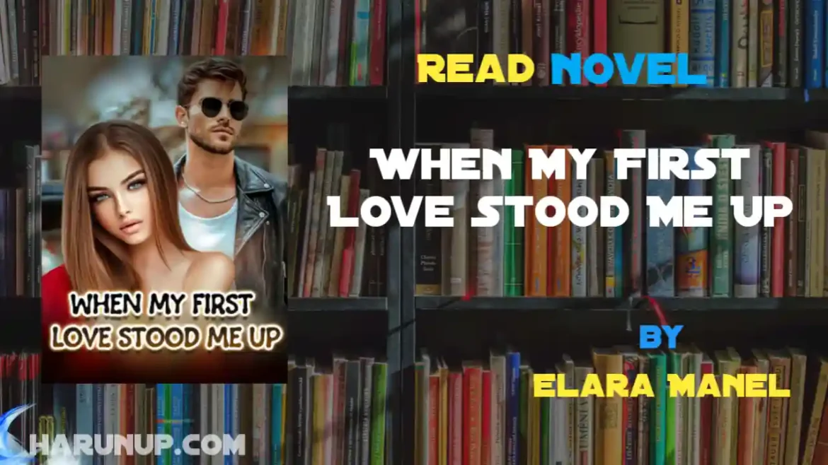 When My First Love Stood Me Up Novel