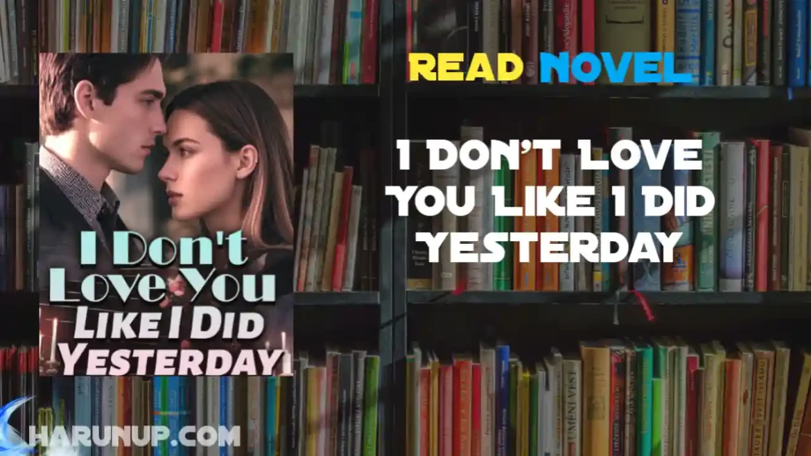 I Don't Love You Like I Did Yesterday Novel