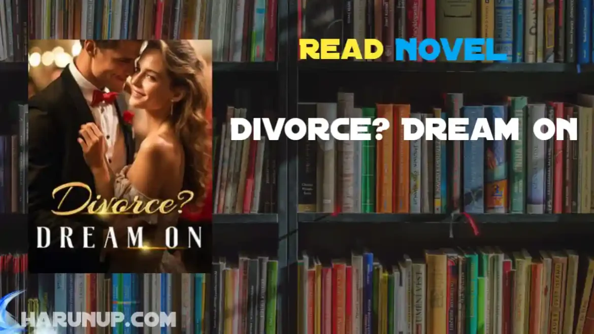 Divorce? Dream On Novel