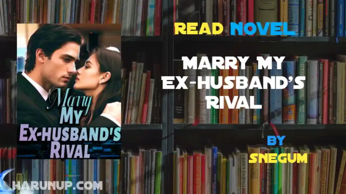 Marry My Ex-husband's Rival Novel