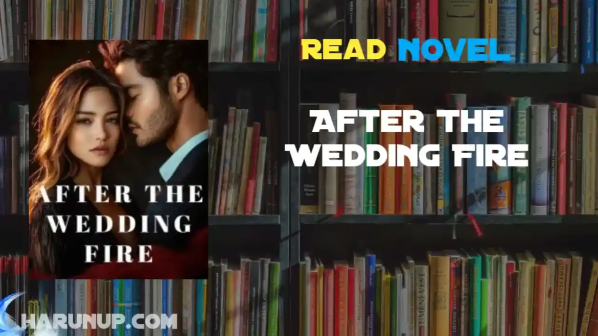 After The Wedding Fire Novel