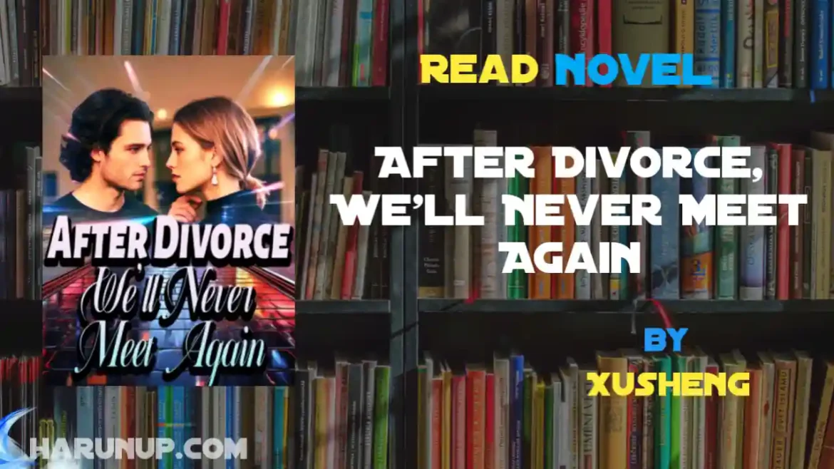After Divorce, We'll Never Meet Again Novel