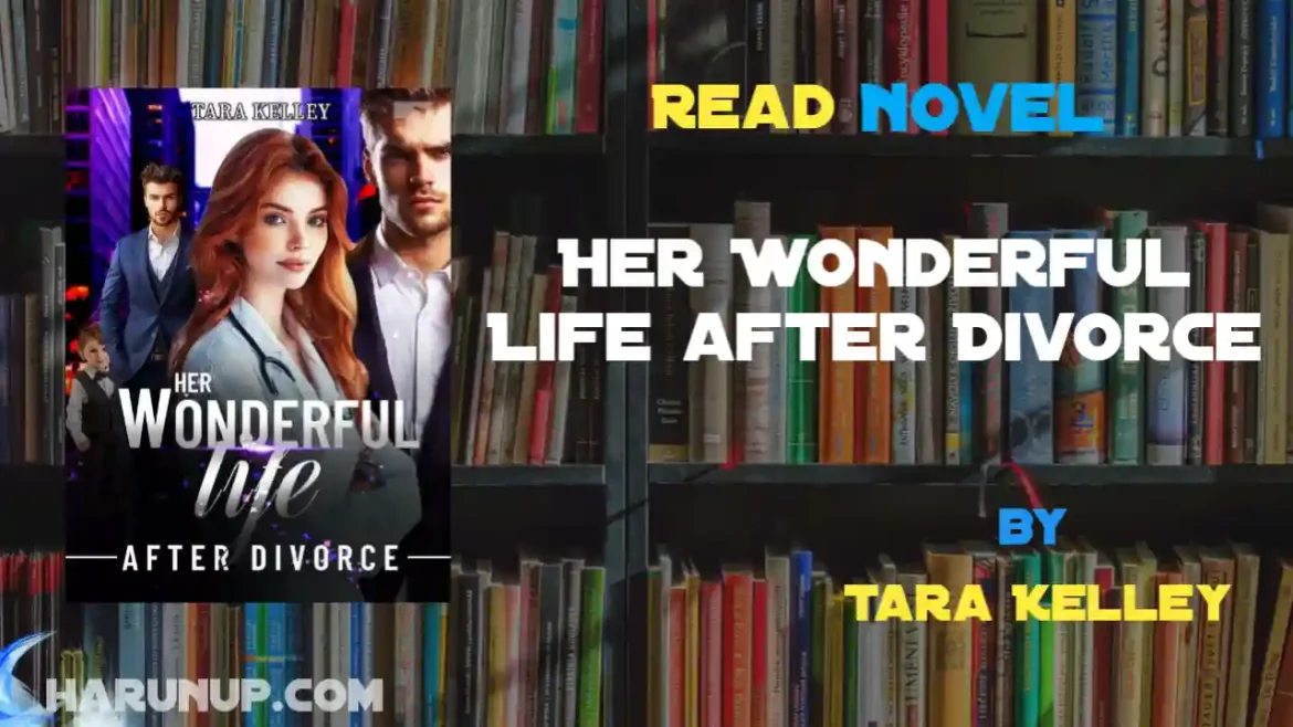 Her Wonderful Life after Divorce Novel