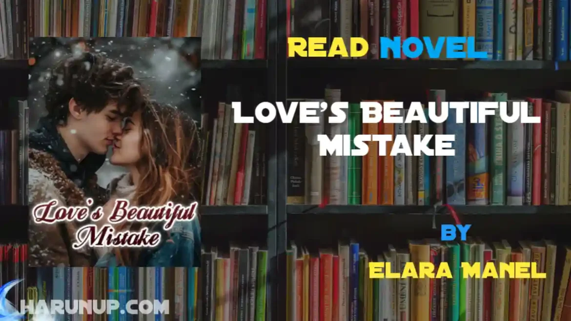 Love's Beautiful Mistake Novel