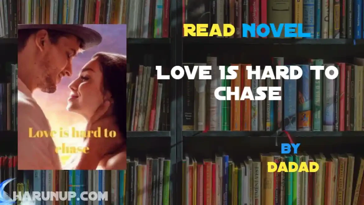 Love Is Hard To Chase Novel