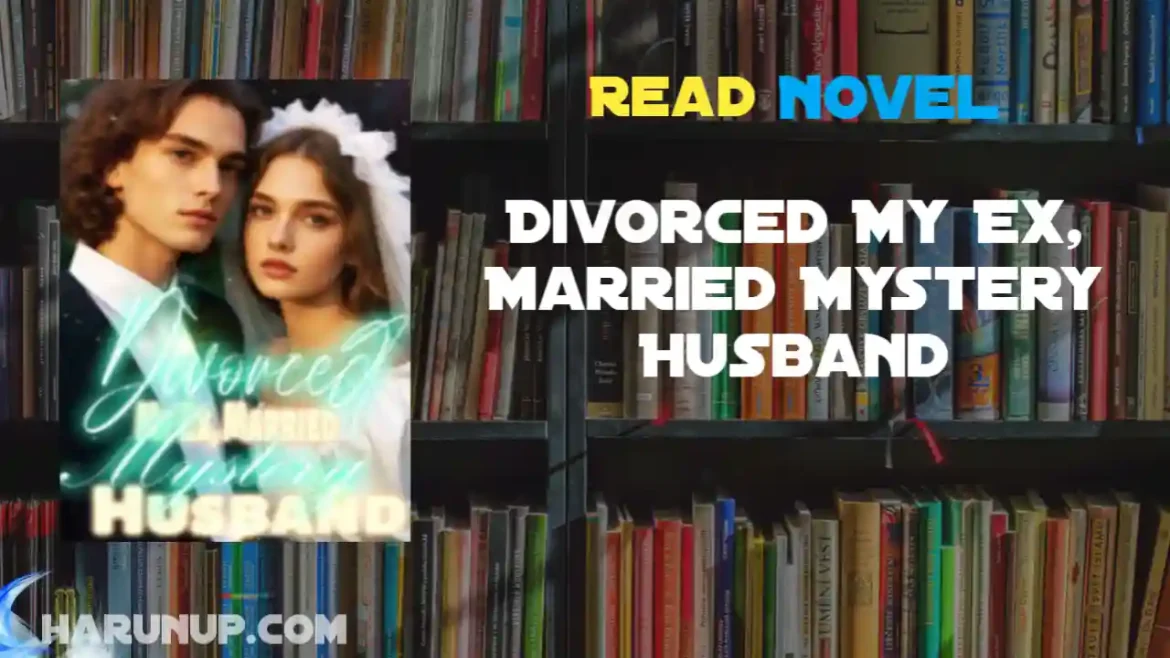 Divorced My Ex, Married Mystery Husband Novel