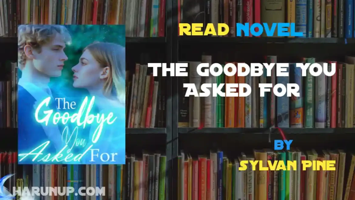 The Goodbye You Asked For Novel