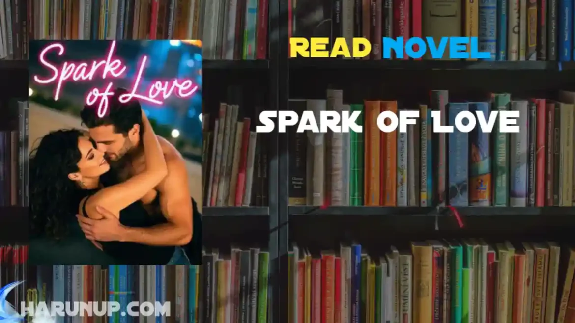 Spark of Love Novel