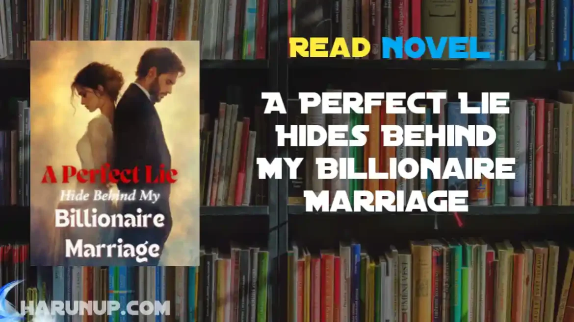 A Perfect Lie Hides Behind My Billionaire Marriage Novel