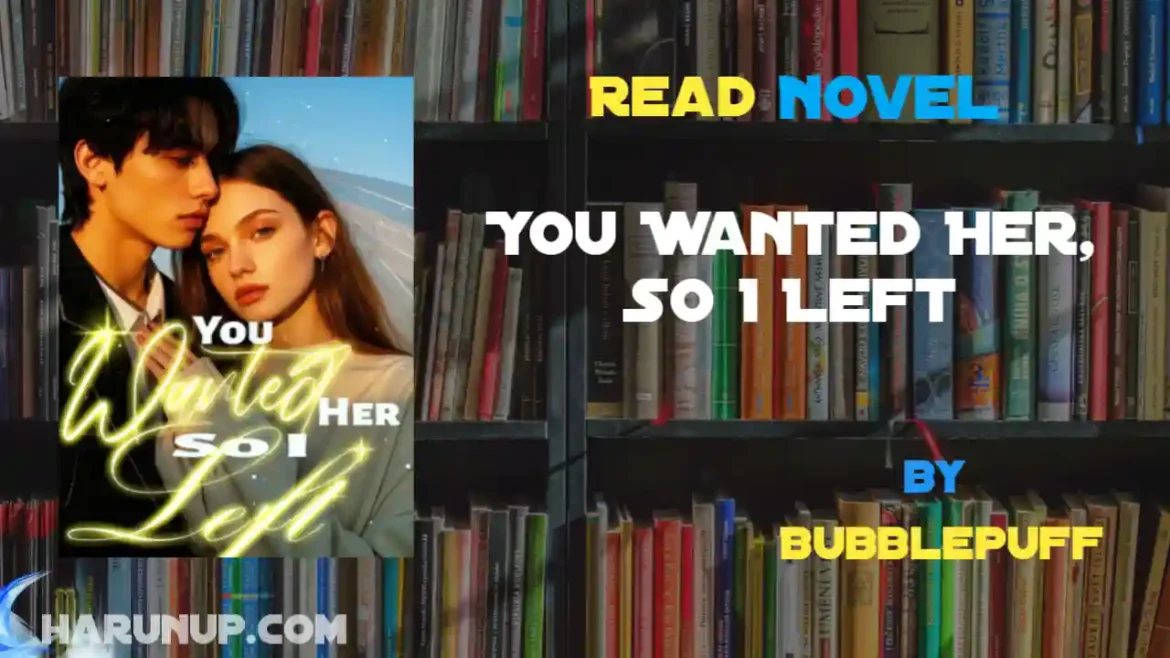 You Wanted Her, So I Left Novel