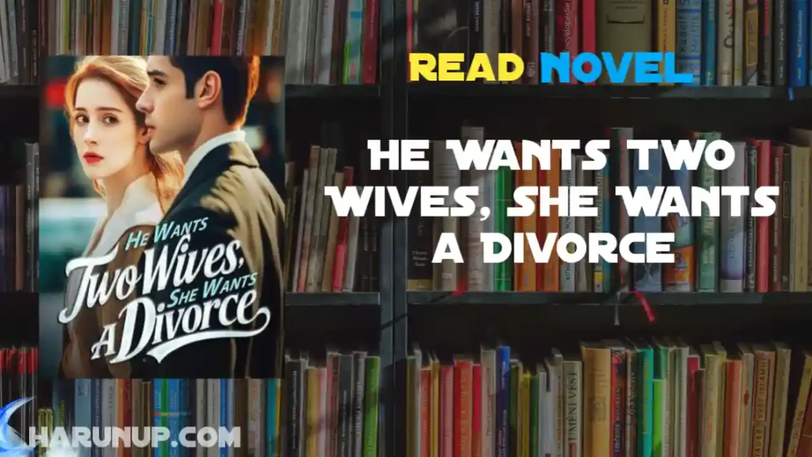 He Wants Two Wives, She Wants a Divorce Novel