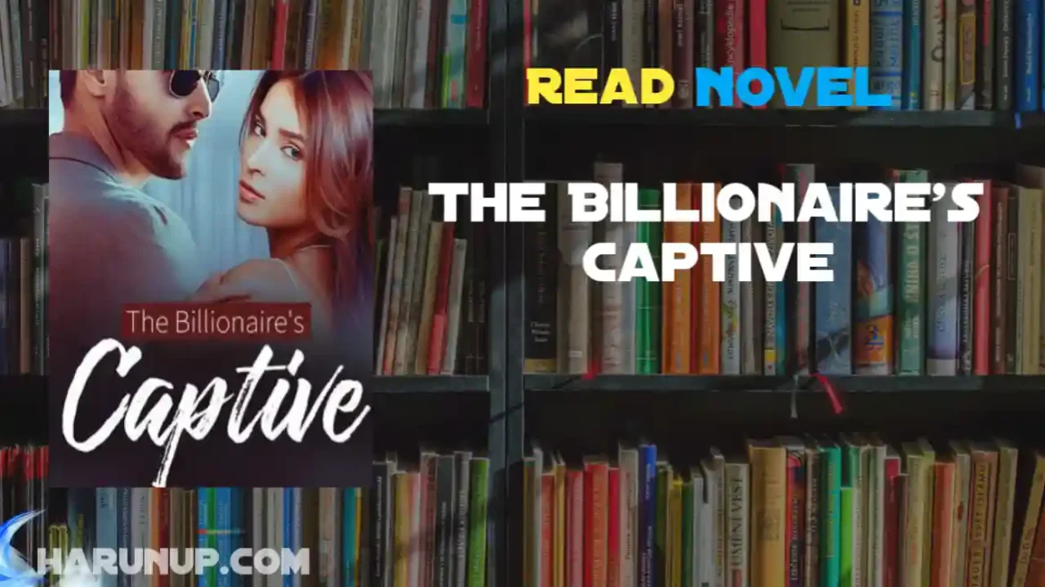 The Billionaire's Captive Novel