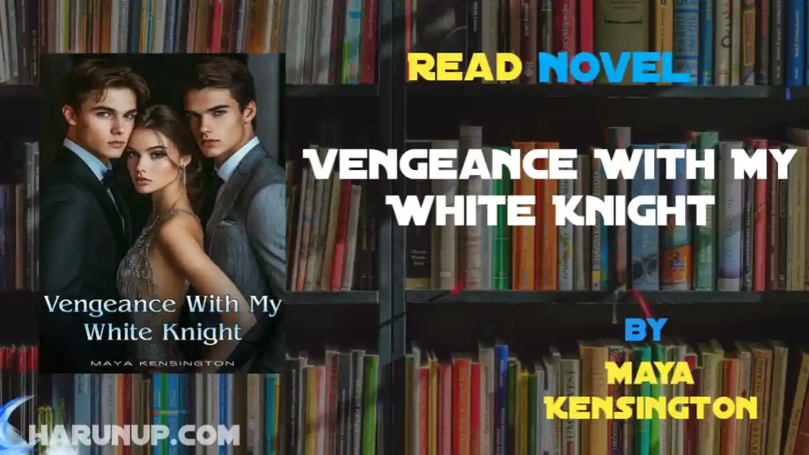 Vengeance With My White Knight Novel