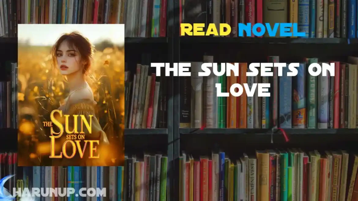 The Sun Sets on Love Novel