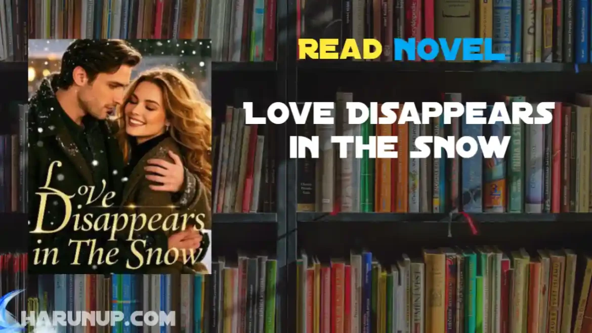 Love Disappears in The Snow Novel