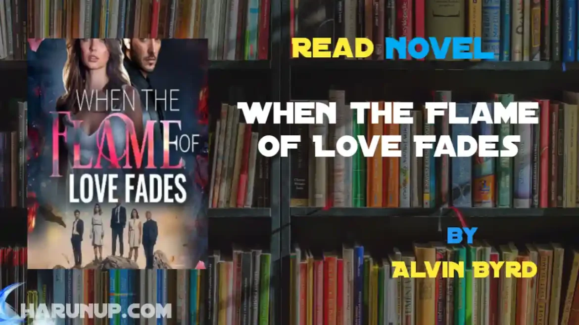 When the Flame of Love Fades Novel