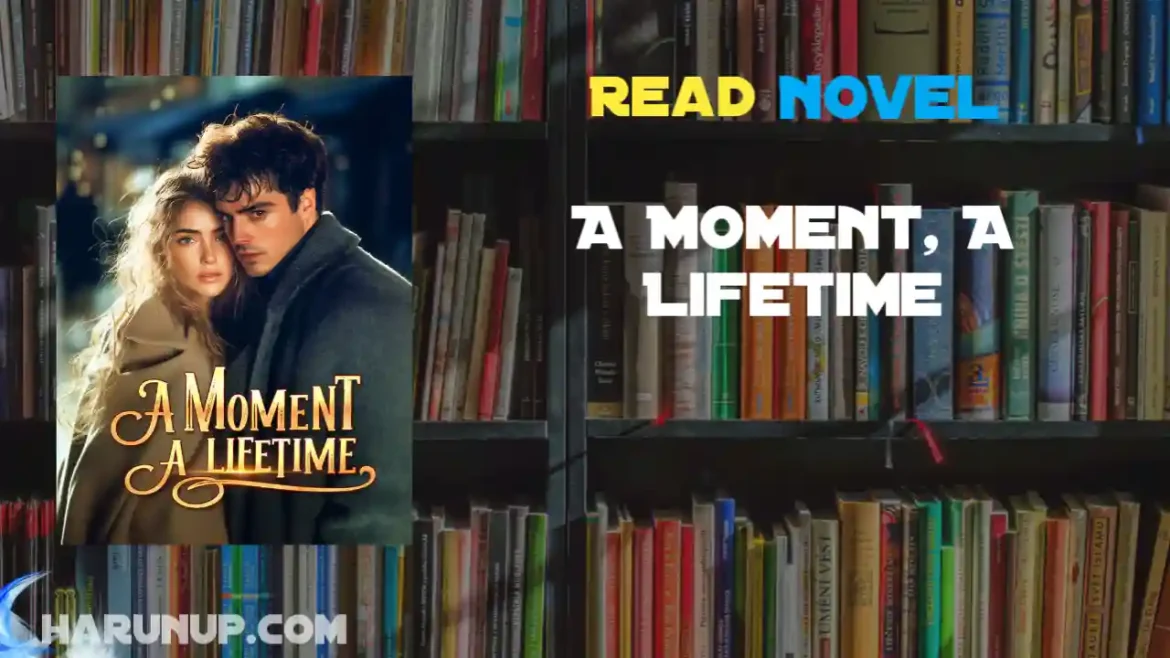 A Moment, A Lifetime Novel