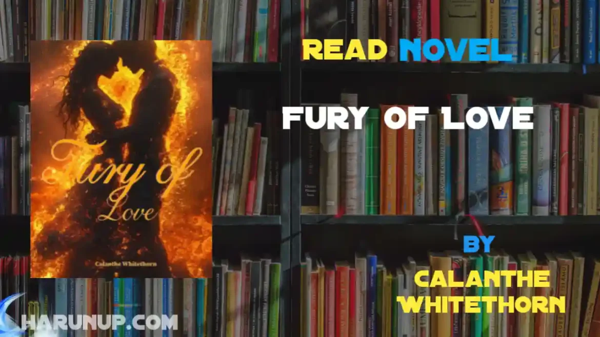 Fury of Love Novel