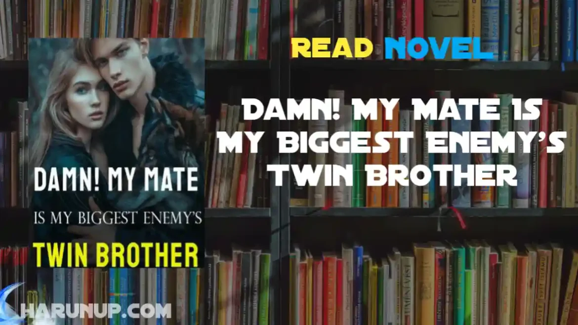Damn! My Mate Is My Biggest Enemy's Twin Brother Novel