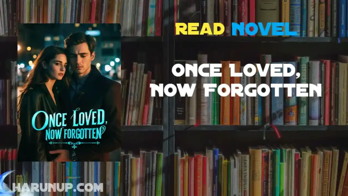 Once Loved, Now Forgotten Novel