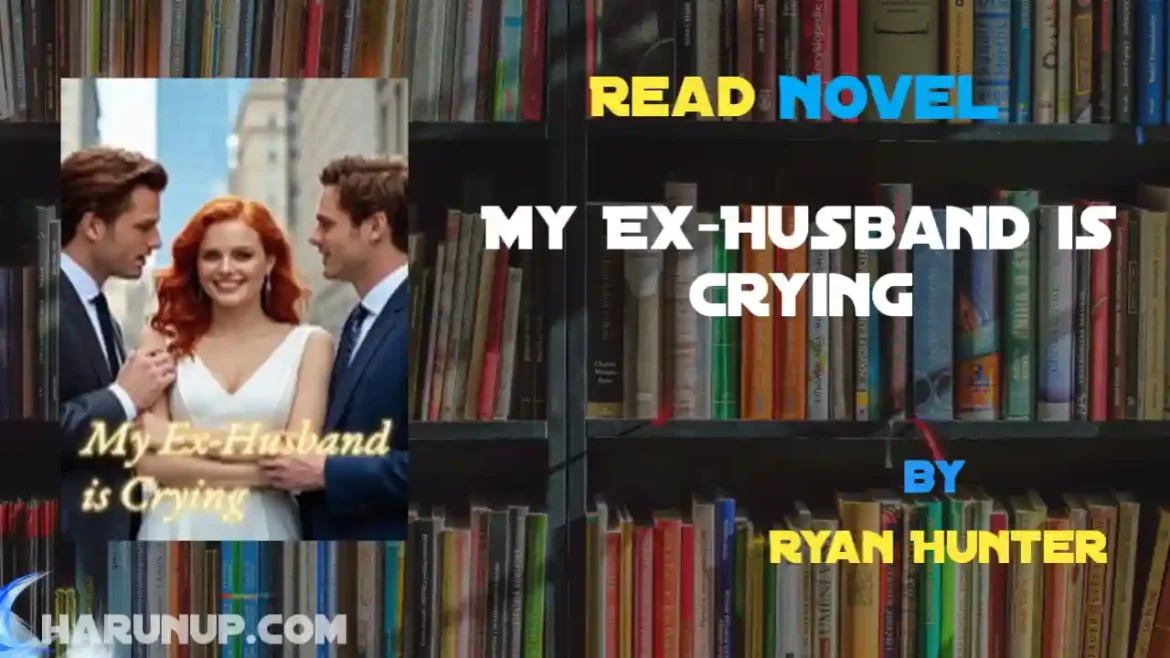 My Ex-Husband is Crying Novel