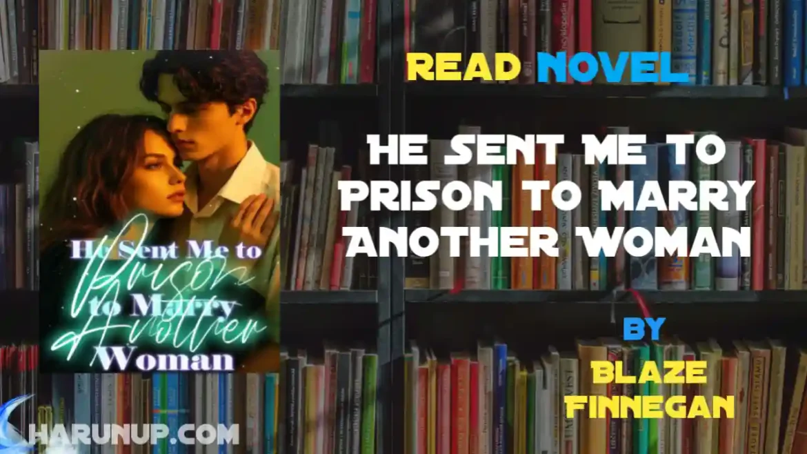 He Sent Me to Prison to Marry Another Woman Novel