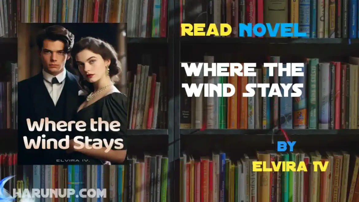 Where The Wind Stays Novel