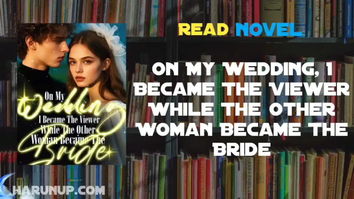 On My Wedding, I Became The Viewer While The Other Woman Became The Bride Novel