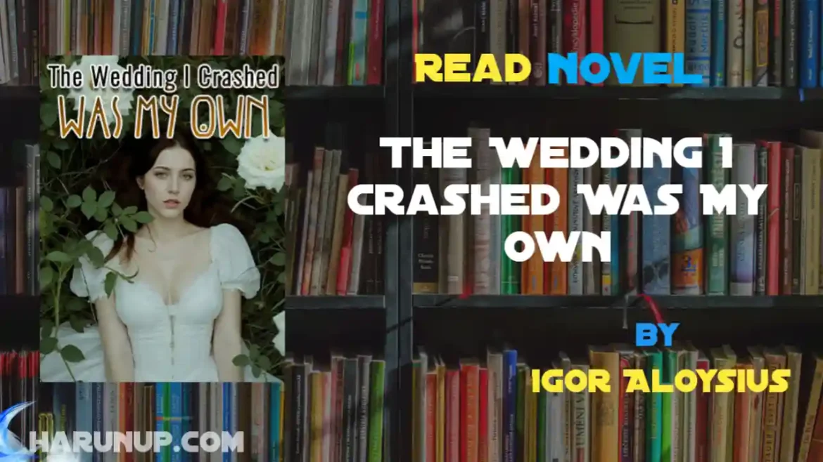 The Wedding I Crashed Was My Own Novel