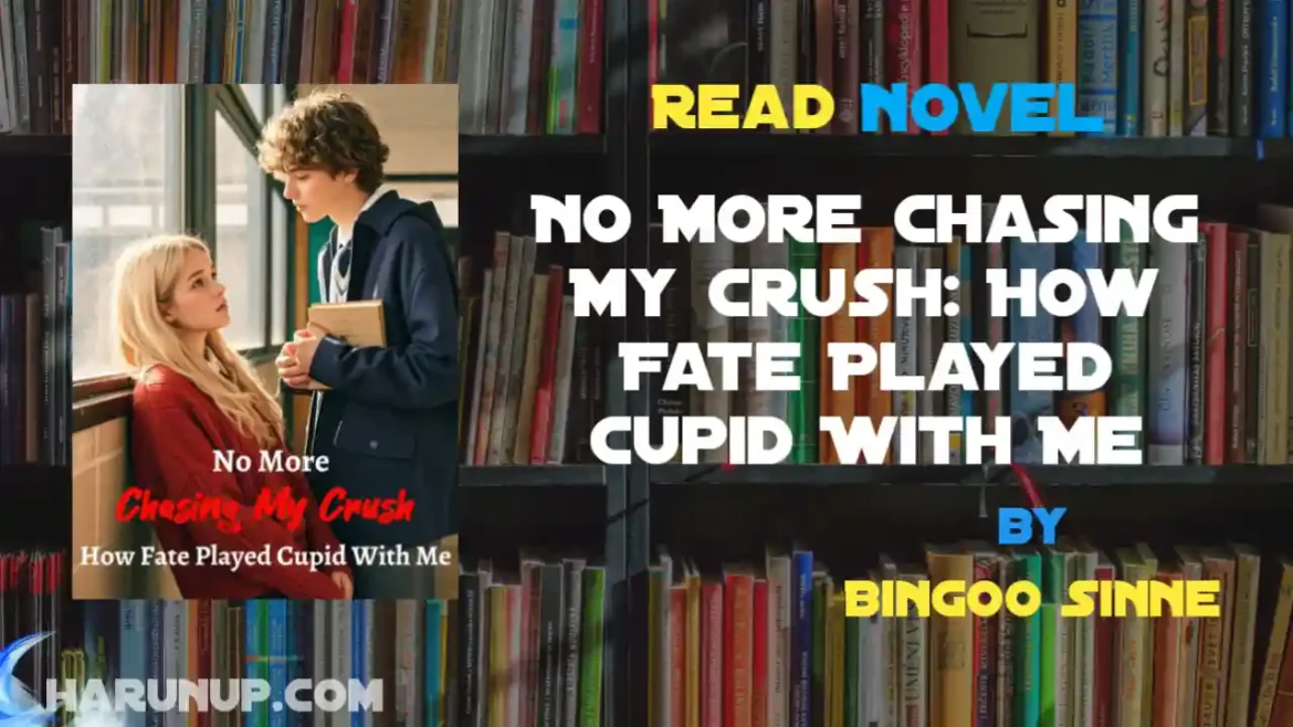 No More Chasing My Crush: How Fate Played Cupid With Me Novel