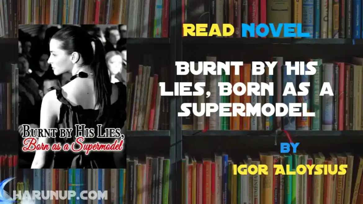 Burnt by His Lies, Born as a Supermodel Novel
