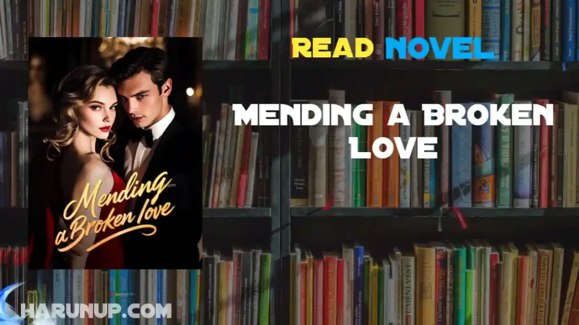 Mending a Broken Love Novel