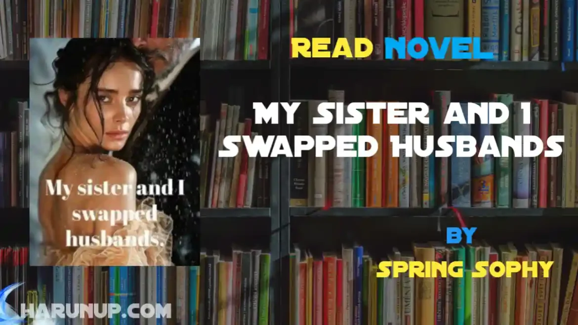 My Sister and I Swapped Husbands Novel