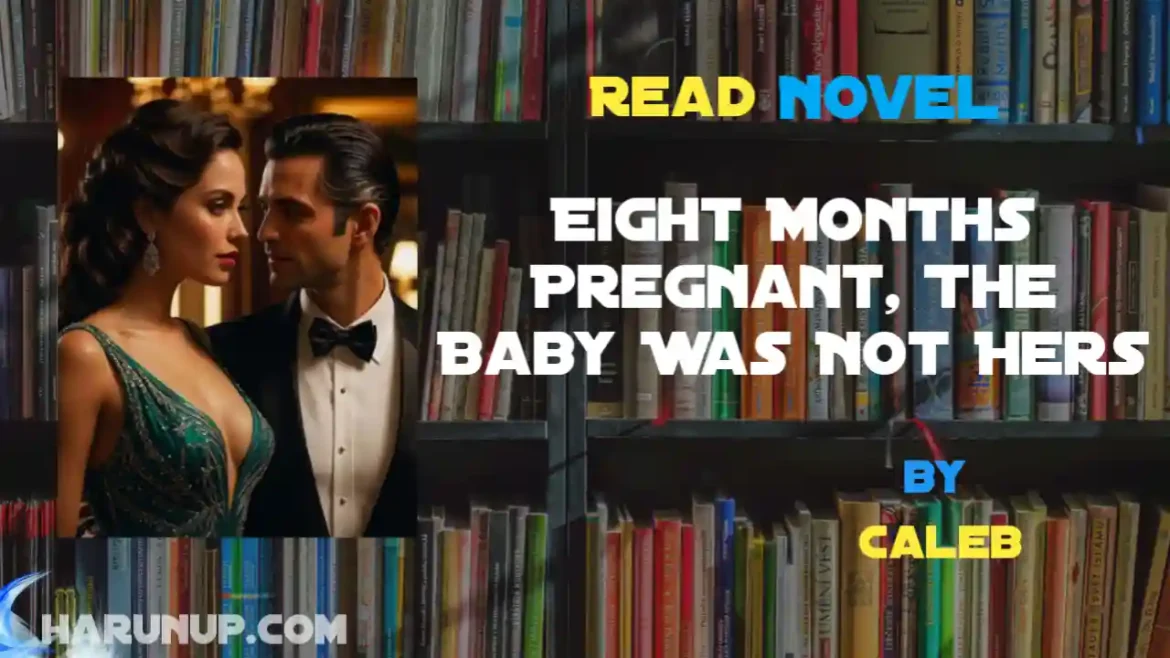 Eight Months Pregnant, The Baby Was Not Hers Novel