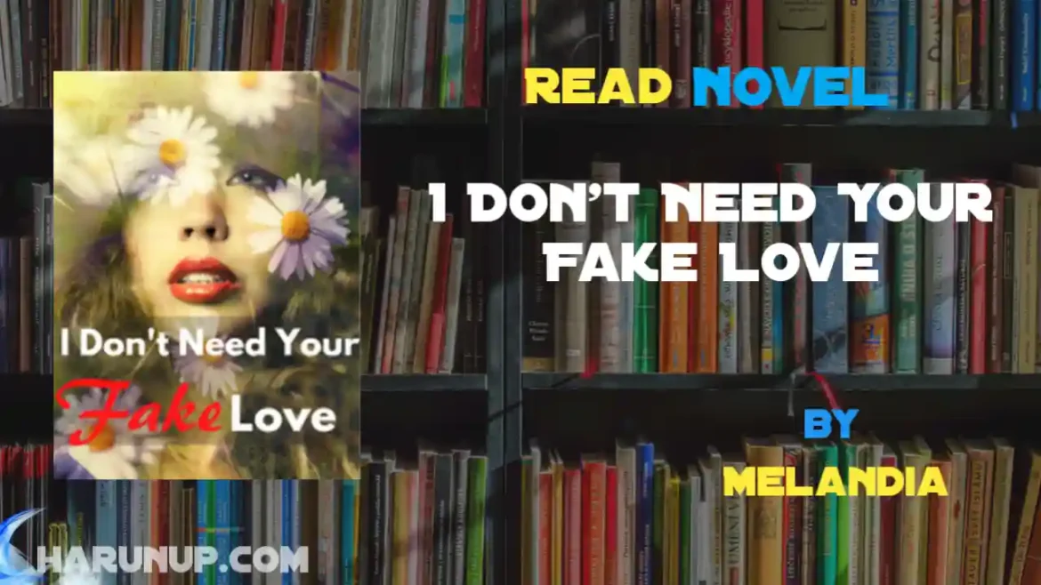 I Don't Need Your Fake Love Novel