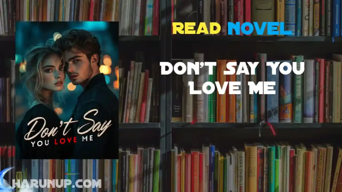 Don't Say You Love Me Novel