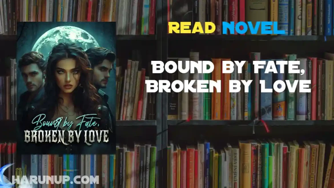 Bound by Fate, Broken by Love Novel
