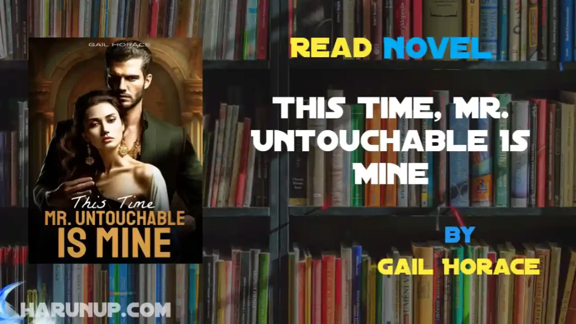 This Time, Mr. Untouchable Is Mine Novel