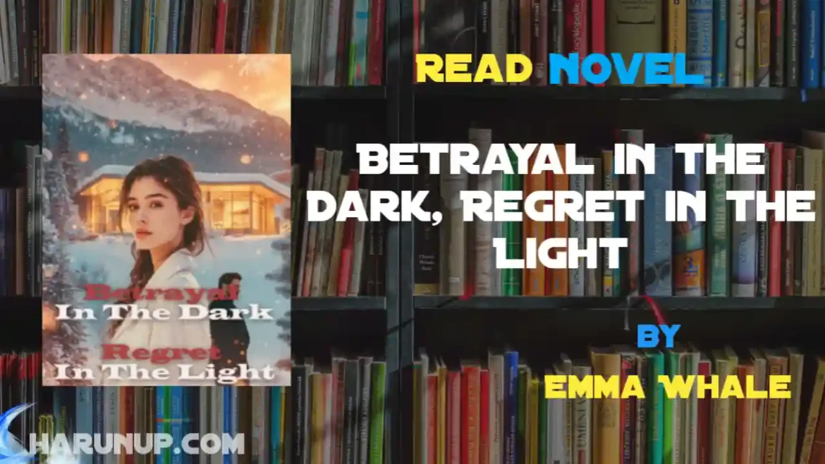 Betrayal in the Dark, Regret in the Light Novel