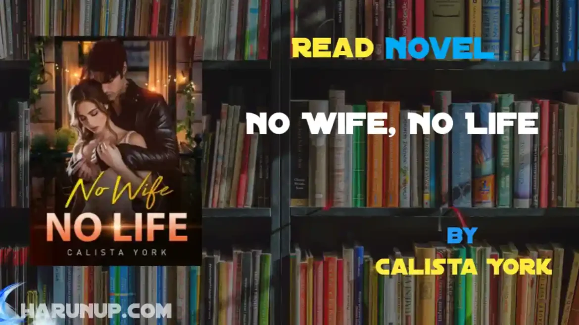 No Wife, No Life Novel