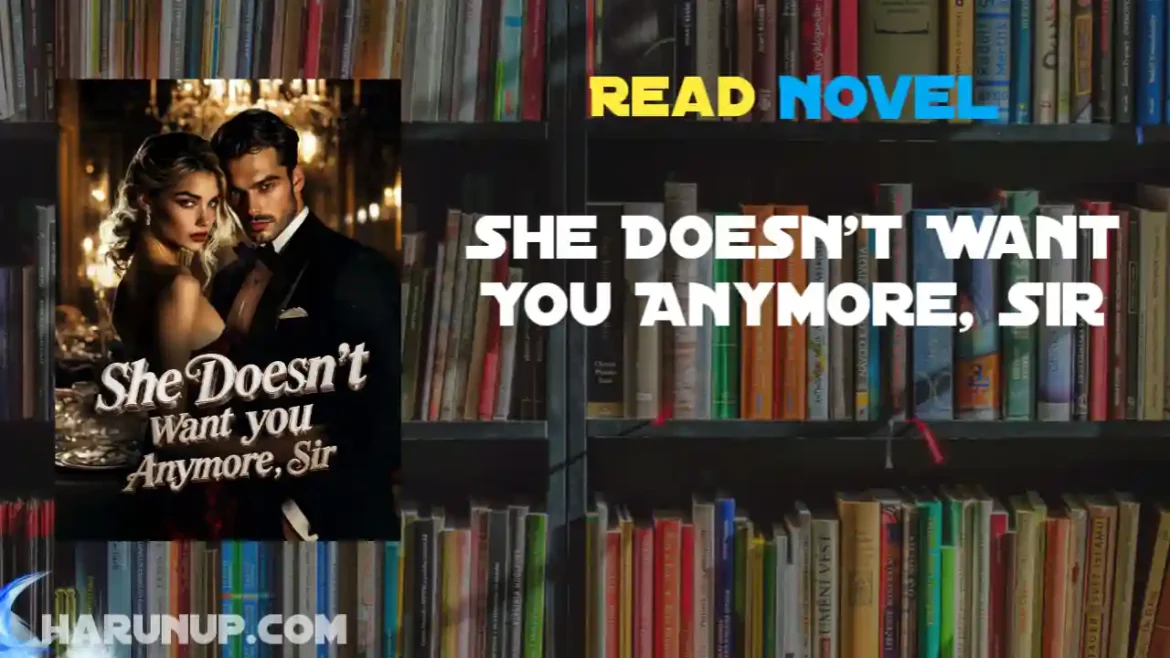 She Doesn't Want You Anymore, Sir Novel