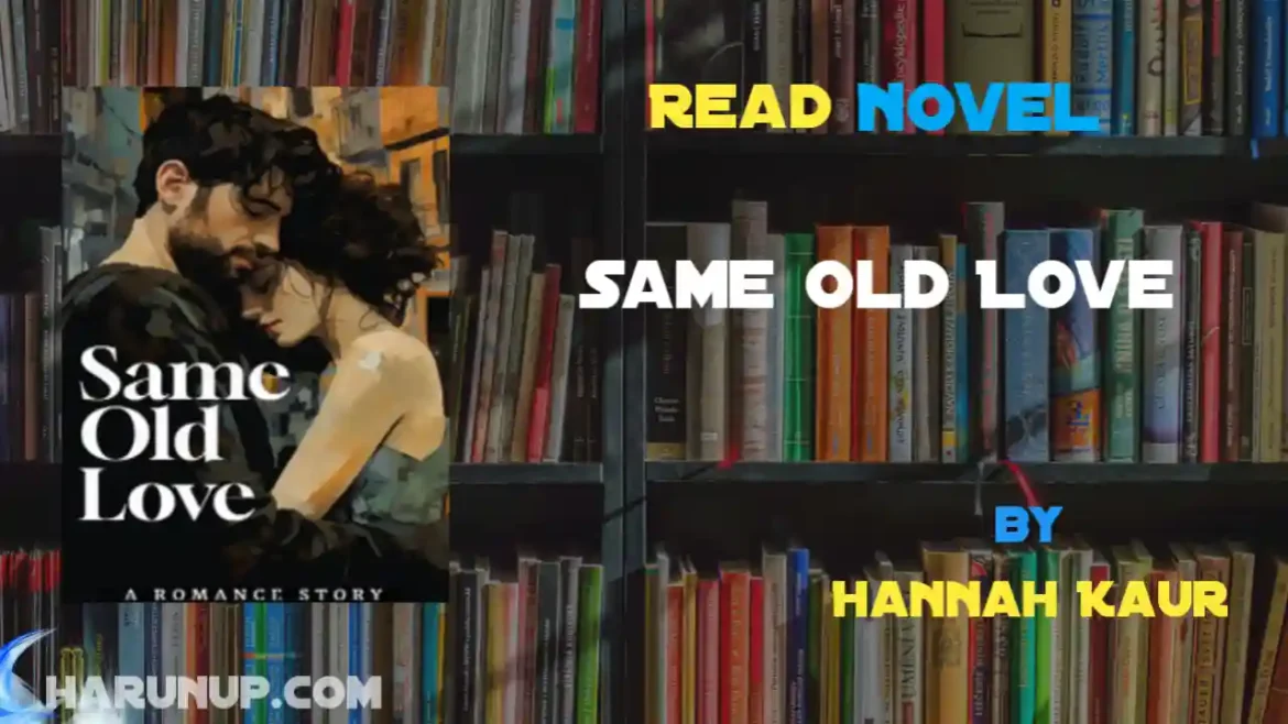 Same Old Love Novel